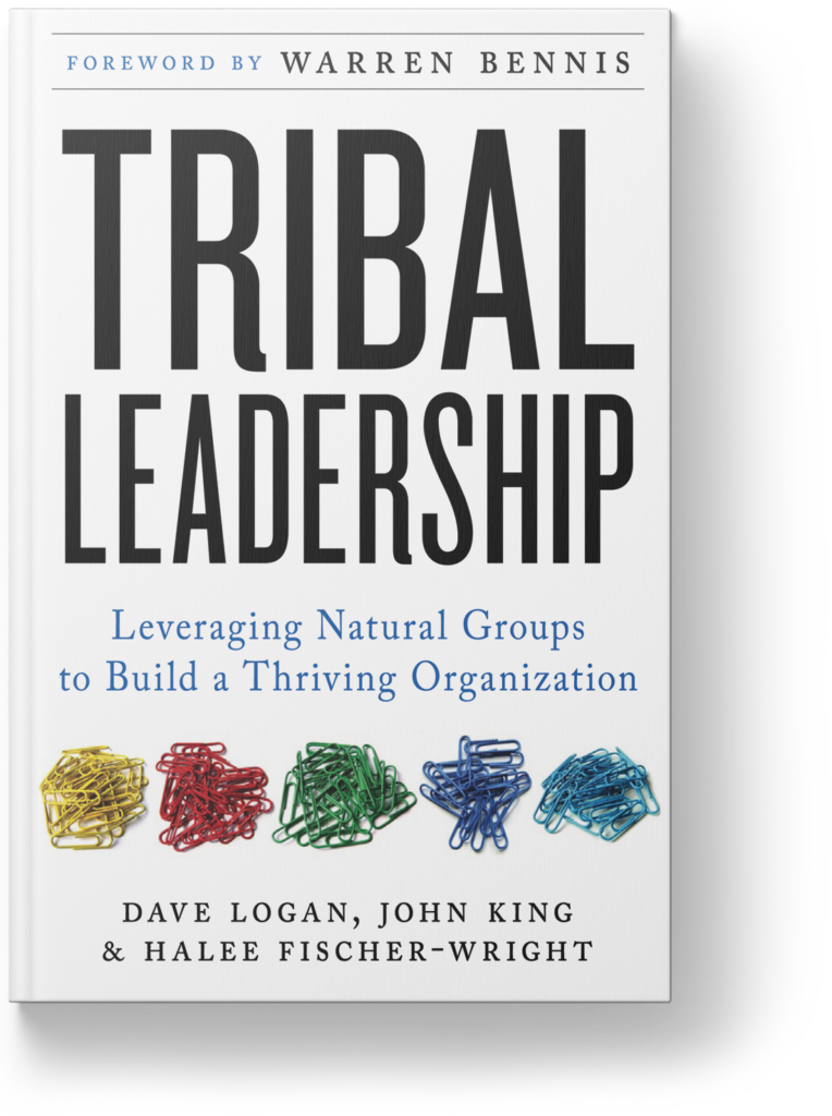 book-tribal-leadership book-tribal-leadership